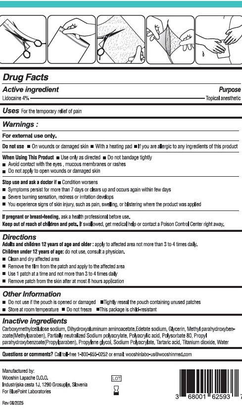 BluePoint Lidocaine Pain Relieving Patch, Topical Anesthetic 4%, 5 Patches — Drug Facts